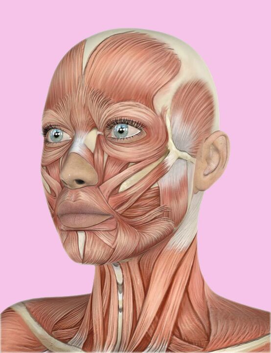 Tecidos de rosto humano