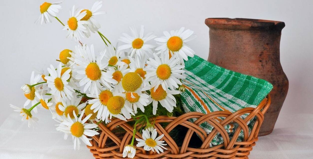 como fazer um toner facial com flores de camomila